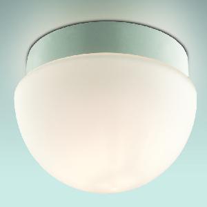 Влагозащищенный потолочный светильник для ванной Odeon Light Minkar 2443/1B