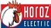 Horoz Electric (Турция)